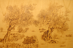 Paesaggio Salentino - cm. 61x41